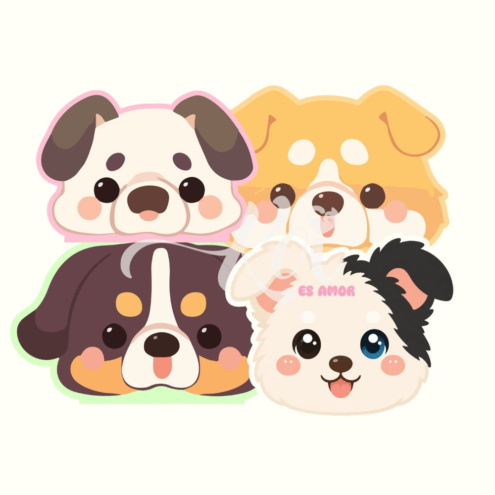 Caja perritos